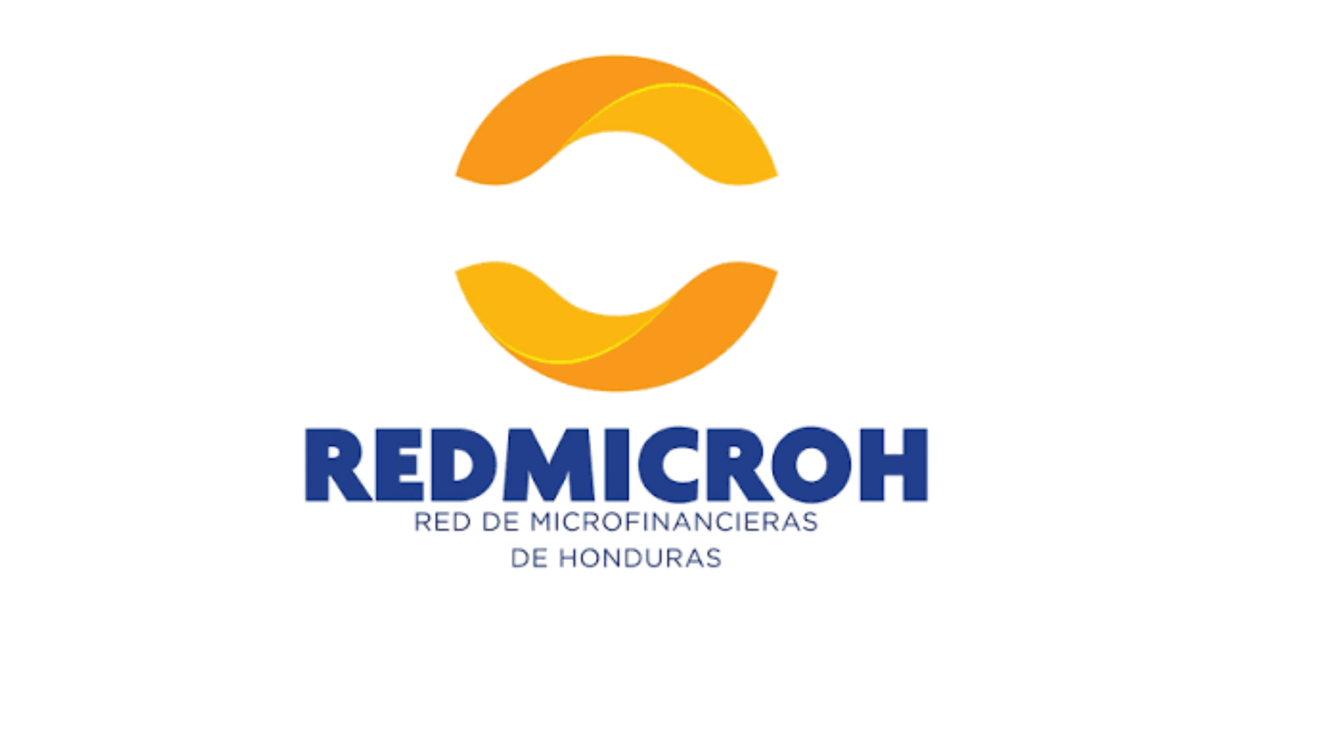 Logo REDMICROH